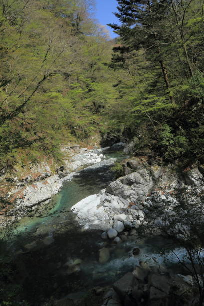 istock Yushin Valley in the Kurokura River 804101078