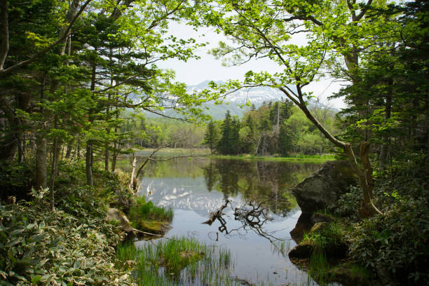 istock Shiretoko lake 804103856