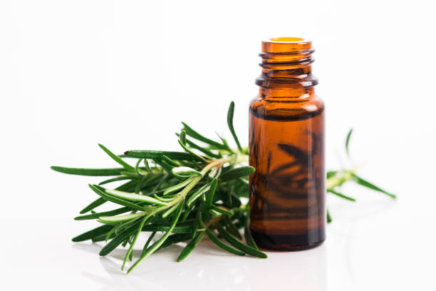 istock Rosemary essential oil 804109668
