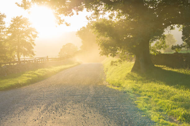 istock Dusty country road at sunset 804122776