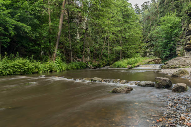 istock Dolsky mill in national park with old ruin 804137048