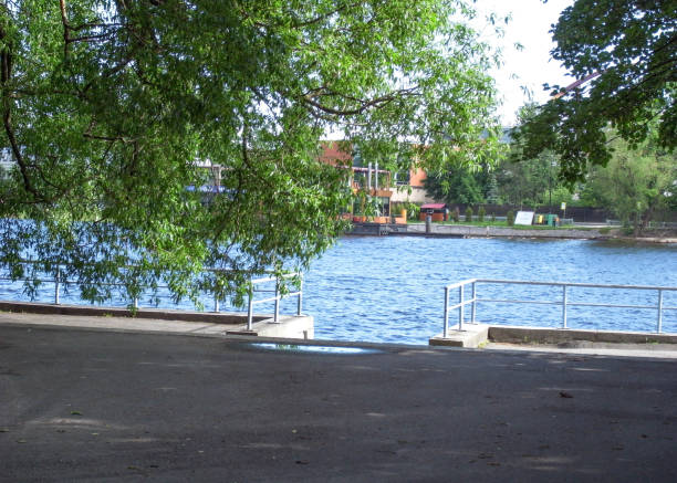 istock Rest in the park. Summer day. Trees above the pond. 804137388