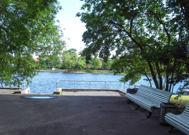 istock Rest in the park. Summer day. Trees above the pond. 804137392