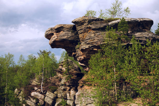 istock Rock like  a bird in national park 