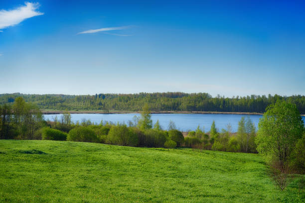 Photo nature. Landscape.