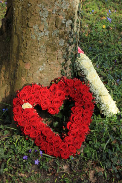 istock Sympathy flowers near a tree 804167610