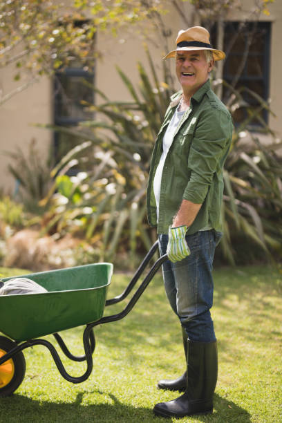 istock Senior man holding wheel borrow while standing in yard 804168472