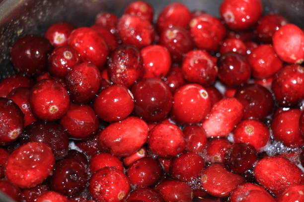 istock Homemade cranberry sauce 804194316