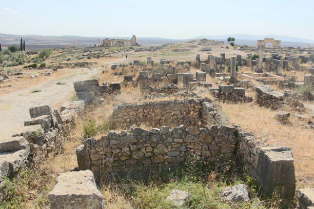 istock the remains of Volubilis 804216216