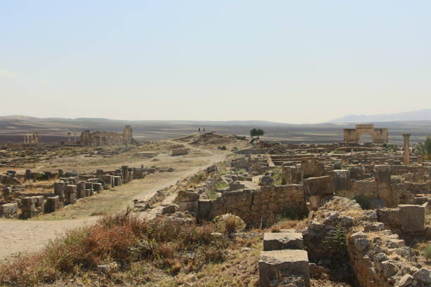 istock the remains of Volubilis 804218318