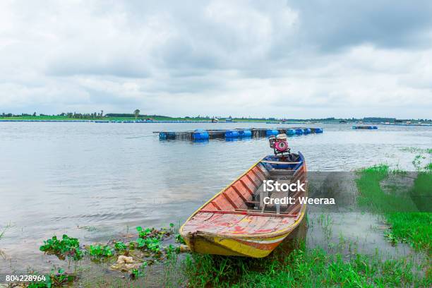 Lonely Wooden Rowb0oat Float On River The River Enclosed By Green Trees Make Calm Tranquil Scenic Of The Waterway Mekong Delta Stock Photo - Download Image Now