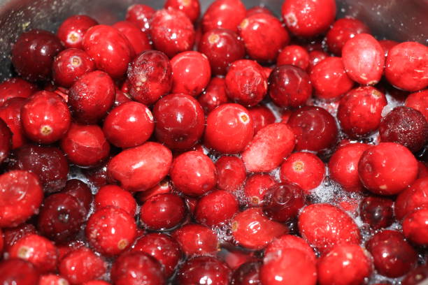 istock Homemade cranberry sauce 804232206