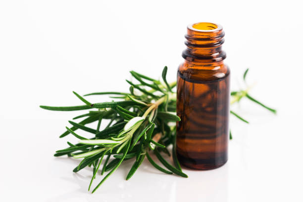 istock Rosemary essential oil 804234662