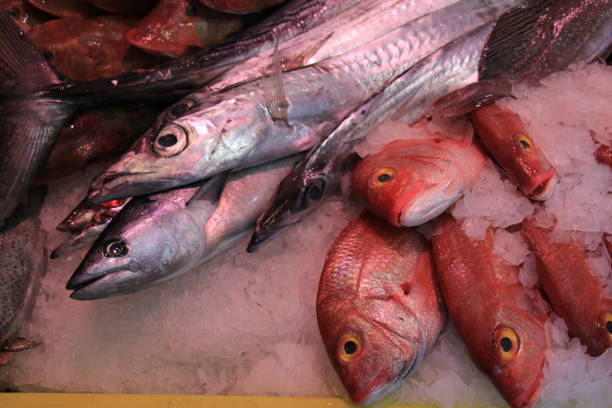 istock Fresh sea fishes on crushed ice 804234856