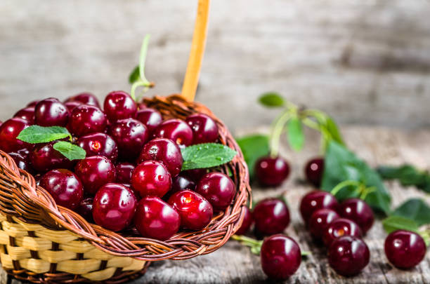 istock Organic cherries, farm fresh fruits on farmer table 804250034
