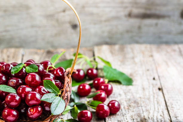 istock Organic cherries, farm fresh fruits on farmer table 804250070