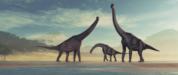 istock Family of dinosaurs 804250974