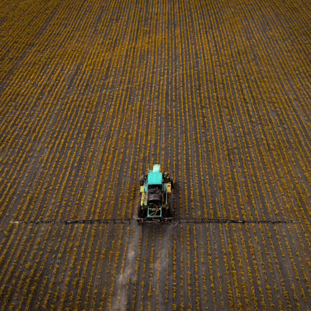 istock The tractor spraying the field with chemicals in the spring 804251042