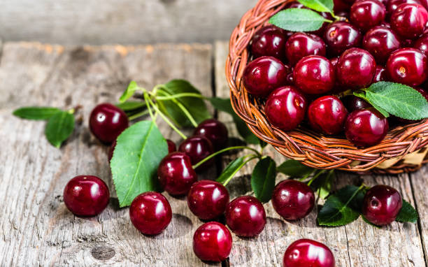 istock Organic cherries, farm fresh fruits on farmer table 804253414