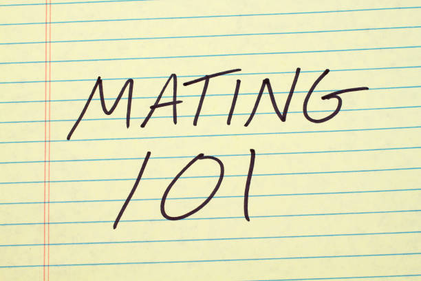 istock Mating 101 On A Yellow Legal Pad 804263550