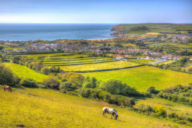 Devon countryside view to Croyde bay England UK in summer in colourful hdr Devon countryside view to Croyde bay England UK in summer with ponies in colourful hdr croyde photos stock pictures, royalty-free photos & images