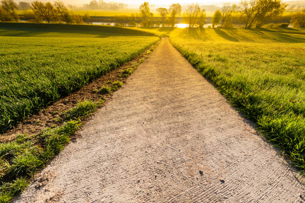istock Irrigation canal at sunrise 804272358