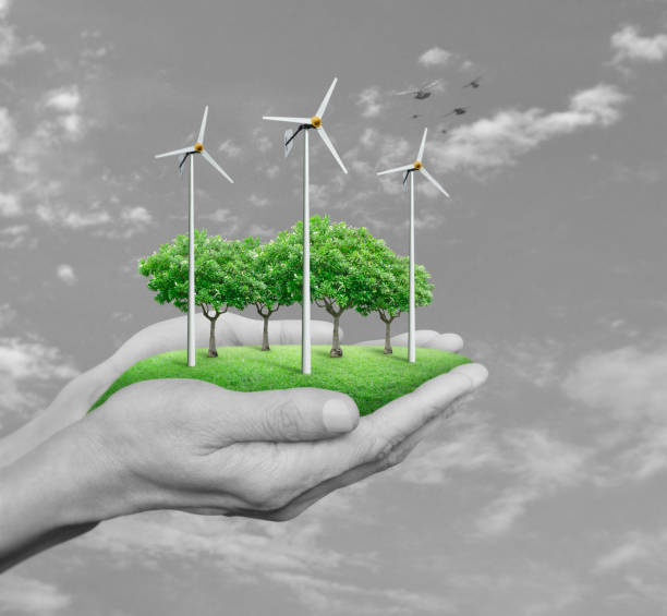 istock Wind turbines, grass and trees in human hands over black and white sky with clouds 804272524