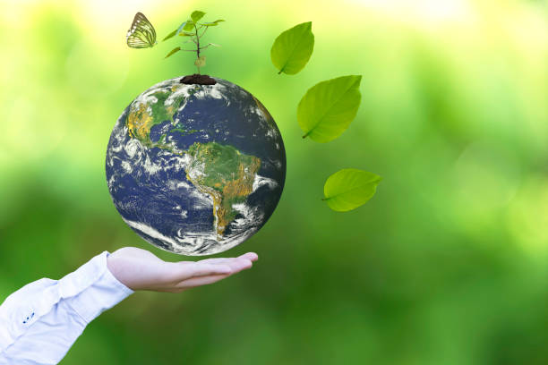 istock Holding a glowing earth globe in his hands with butterfly.   World Environment and Save Environment. Earth image provided by Nasa. 804272892