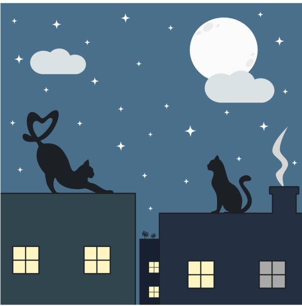 Cute Cats On The Roof In The Starry Night Vector Illustration Stock  Illustration - Download Image Now - iStock