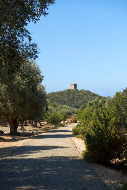 istock maremma bike lane 804292306