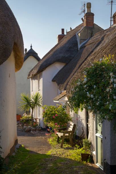 istock Thatched cottages at Inner Hope, Hope Cove, Devon, England 804298752