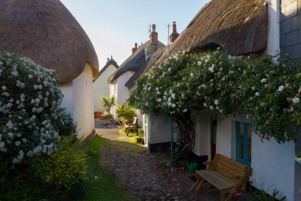 istock Thatched cottages at Inner Hope, Hope Cove, Devon, England 804298776
