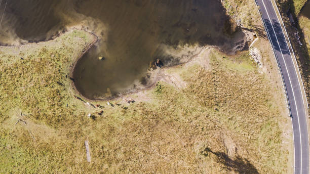 istock Lake Moogerah in Queensland 804302608