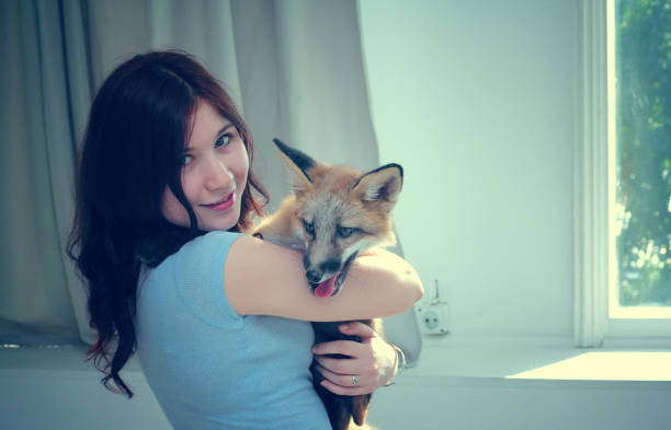 istock The girl is hugging the fox. 804309732