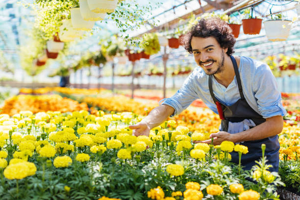 istock Happy gardener showing beautiful flower produce 804312228