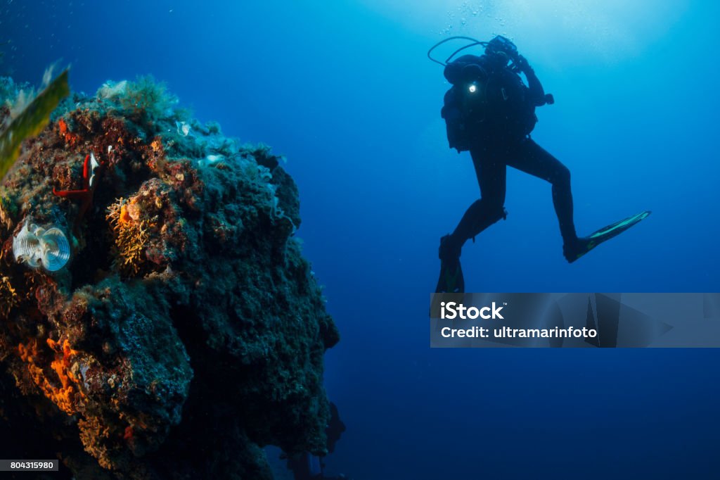 II. The Beauty of Mediterranean Dive Sites