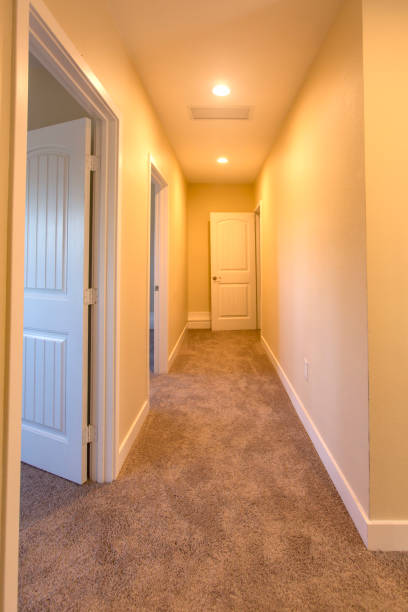istock Carppet in a halway of an empty home 804316062