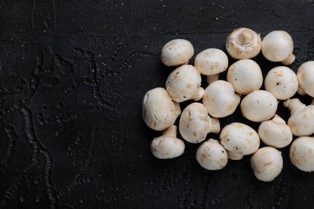 istock Mushrooms on black cement. Mushrooms on a concrete background 804316850