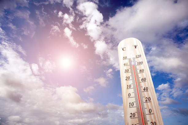 여름 열에 온도계 - heat heat wave thermometer summer 뉴스 사진 이미지