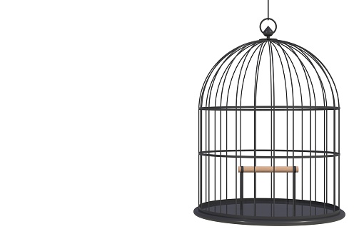 Empty bird black cage Isolated on white background, 3D rendering