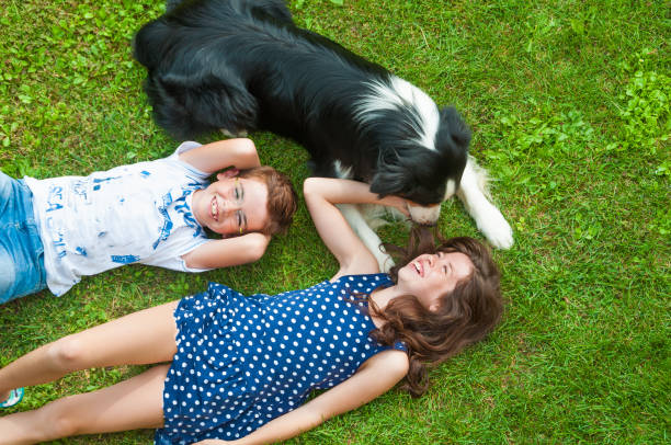 istock Children lying on grass with their dog 804334906