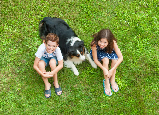 istock Children sitting on grass with their dog 804335792