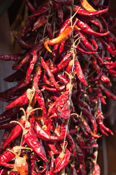istock Red hot dry peppers hanging 804336226
