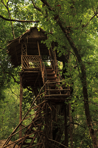 A Tree house in the western ghats of Kerala, India.