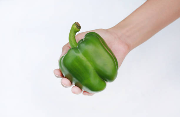 istock Hand holding green Bell pepper isolated on white background. 804350788