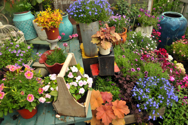Collection of  colorful flowers and ornamental plants in pots against the wooden wall on a corner of town street,Japan