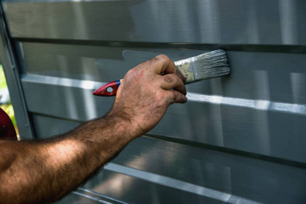 istock Painting the garage door 804354964