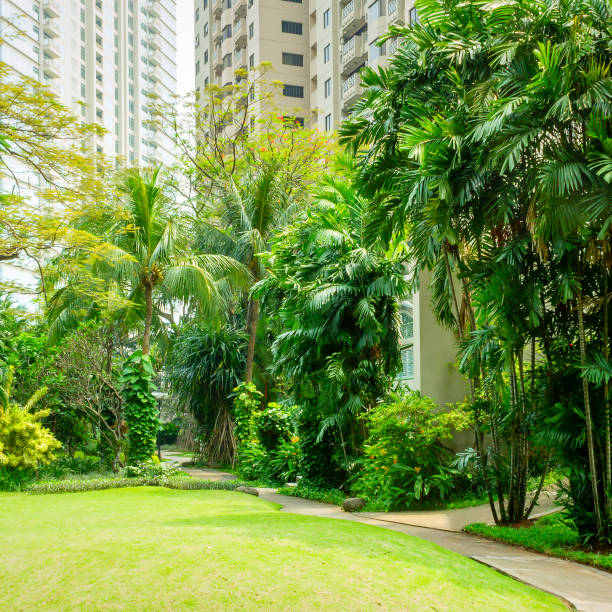 istock Beautiful Green Park with Winding Path 804369202