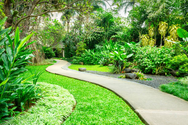 istock Beautiful Green Park with Winding Path 804379974