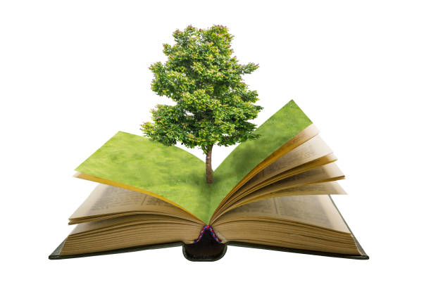 green tree and field grass on open vintage book isolated on white background - lpn imagens e fotografias de stock